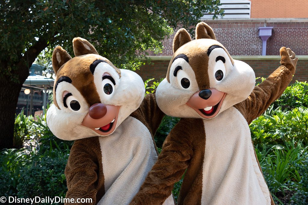 Chip 'n' Dale are just a few of the characters you can meet at Hollywood Studios