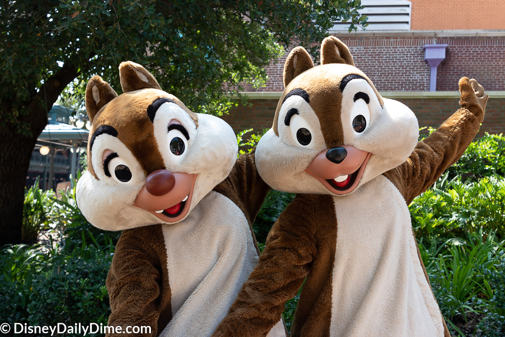 Daisy Duck Joins Donald Duck Meet and Greet at Disney's Hollywood Studios