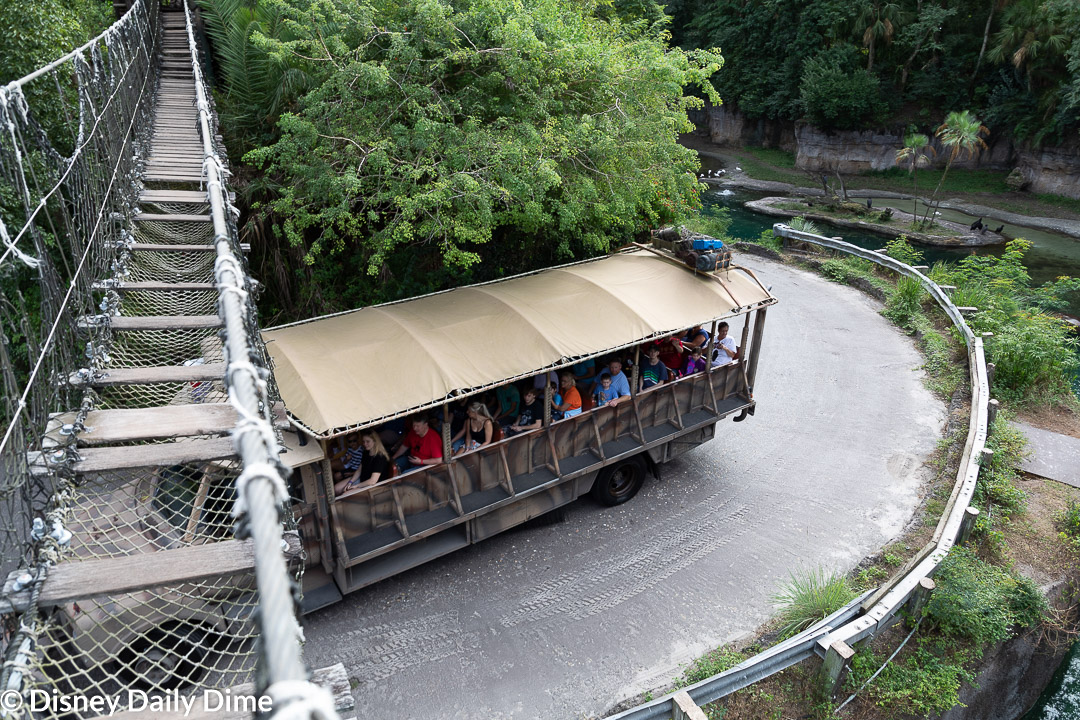 The rope bridges are great fun! - Picture of Wild Africa Trek