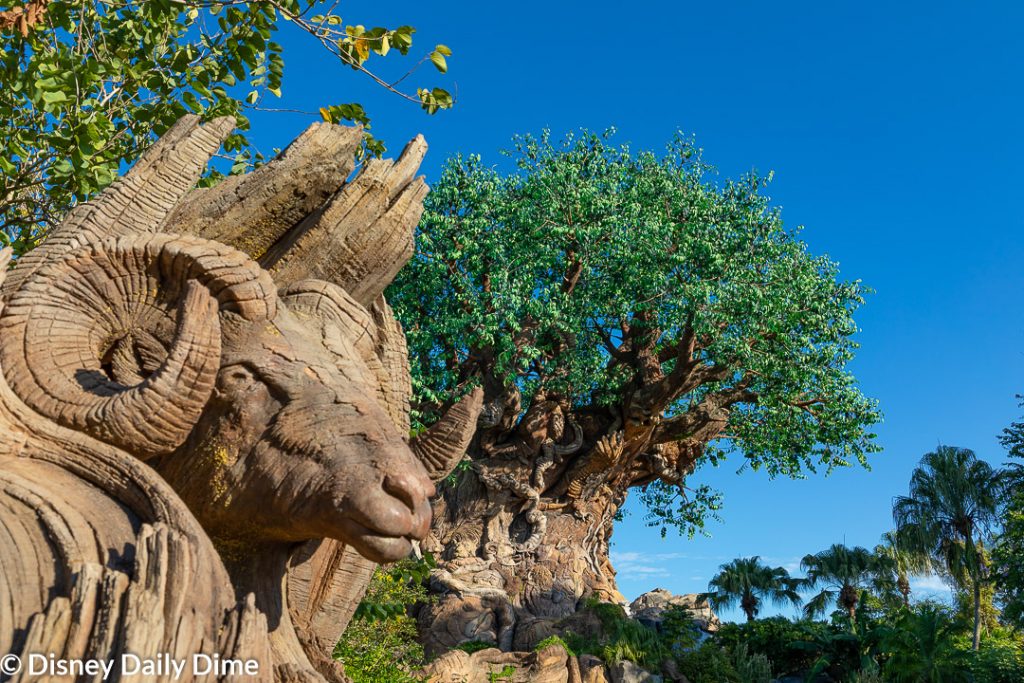 Picture of the Tree of Life and a ram carving at Animal Kingdom.