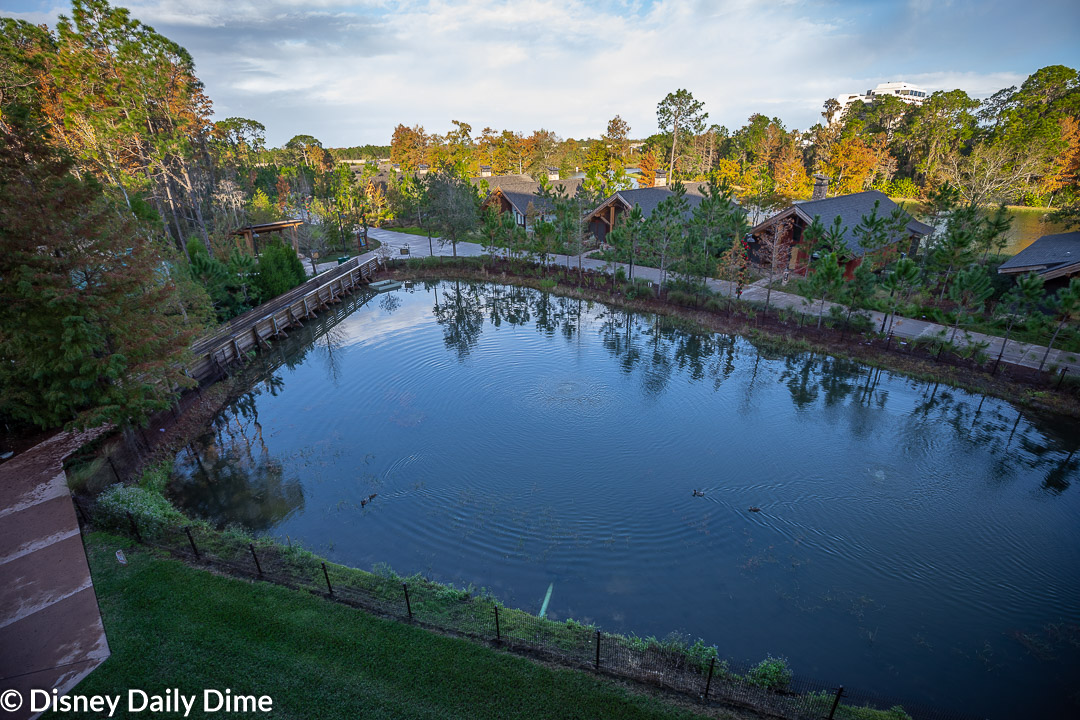 Disney Wilderness Lodge Nature View Rooms