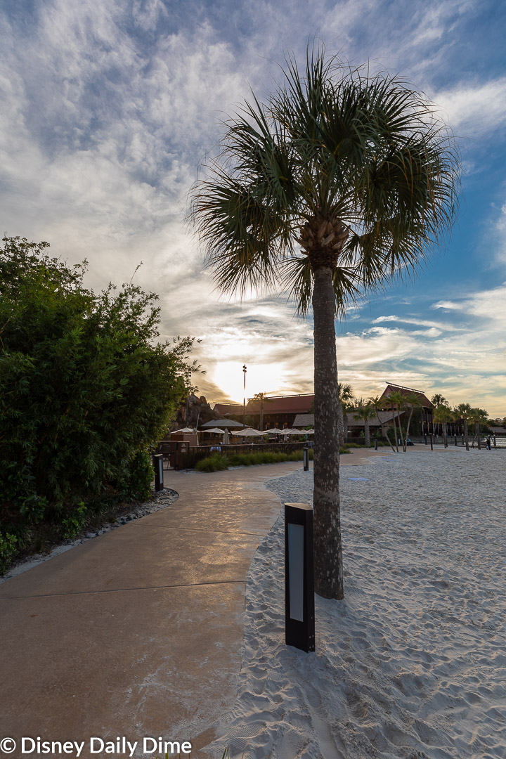 Picture of a palm tree and beach around Disney's Polyensian Village Resort.
