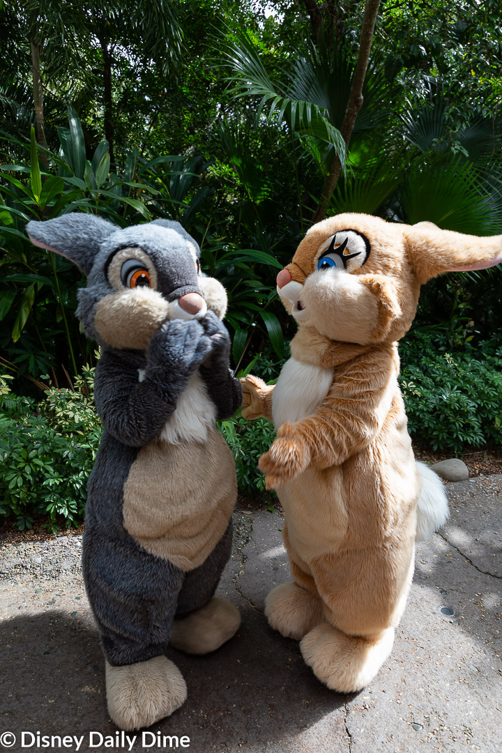 Complete Guide to Animal Kingdom Characters | Disney Daily Dime