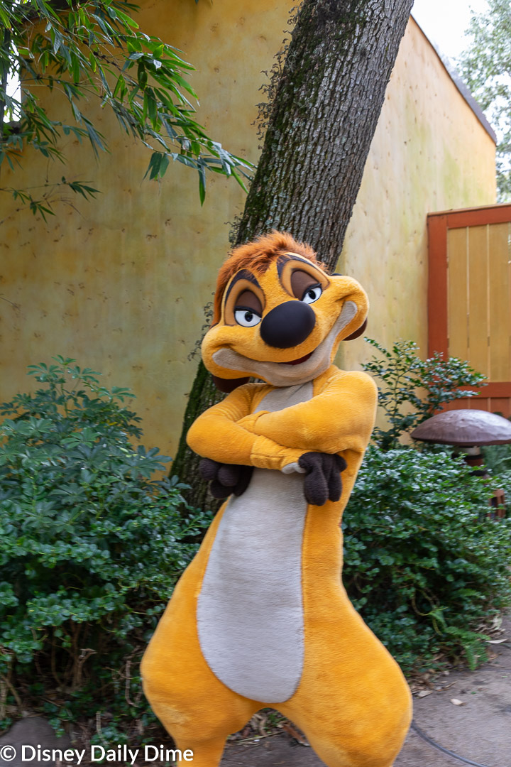 Complete Guide to Animal Kingdom Characters | Disney Daily Dime