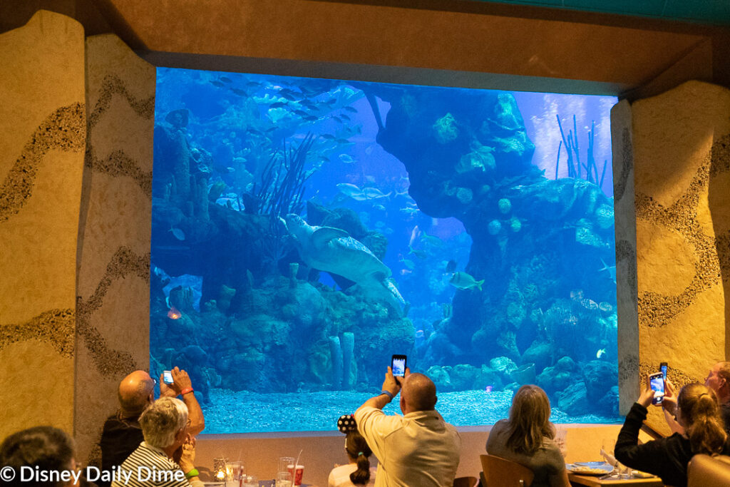 Coral Reef Restaurant Review Epcot Disney Daily Dime   Gluten Free Coral Reef Restaurant Epcot Sea Turtle Picture 1024x683 