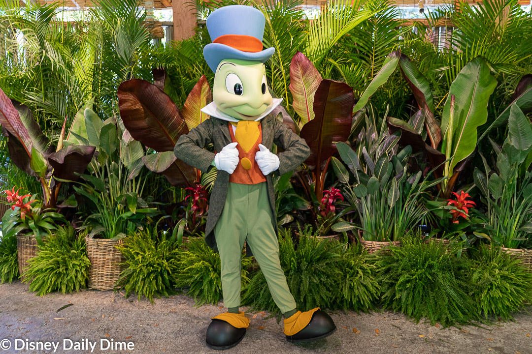 Complete Guide to Animal Kingdom Characters | Disney Daily Dime