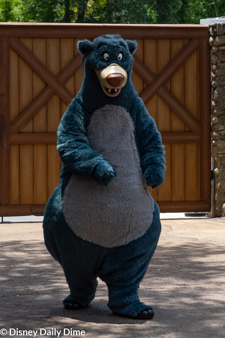 Complete Guide to Animal Kingdom Characters | Disney Daily Dime