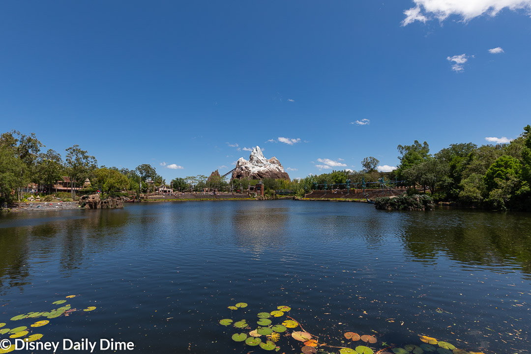 You can see Expedition Everest off in the distance from Flame Tree Barbecue.