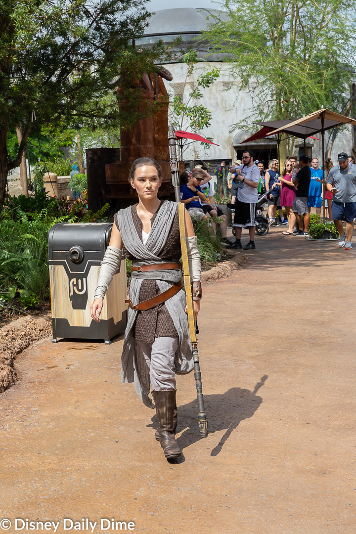 Rey doesn't do formal meet and greets in Hollywood Studios, but she will stop and interact if you find her!